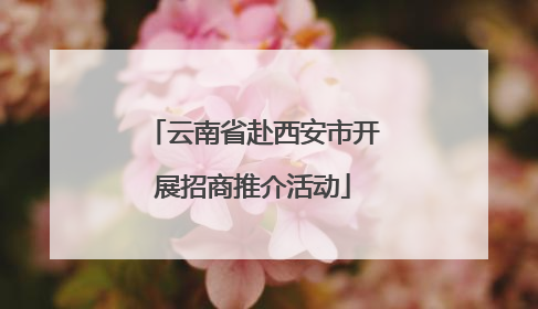 云南省赴西安市开展招商推介活动