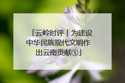 云岭时评丨为建设中华民族现代文明作出云南贡献①