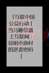互联中国公益行动丨当马鞭草遇上互联网：昆明小渔村的逆袭密码