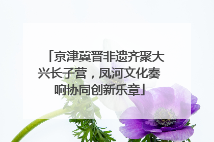 京津冀晋非遗齐聚大兴长子营，凤河文化奏响协同创新乐章