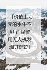 价值上万元的水牛不见了 民警用无人机发现其踪迹