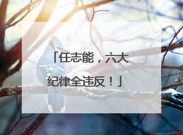 任志能，六大纪律全违反！
