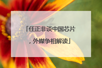 任正非谈中国芯片，外媒争相解读