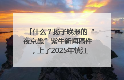 什么？扬子晚报的“夜京畿”紫牛新闻稿件，上了2025年镇江中考模拟卷！