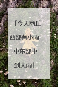今天商丘西部有小雨 中东部中到大雨