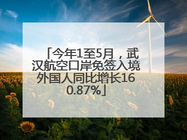 今年1至5月，武汉航空口岸免签入境外国人同比增长160.87%