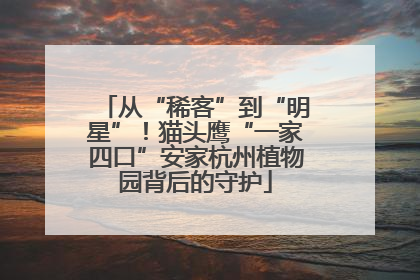 从“稀客”到“明星”！猫头鹰“一家四口”安家杭州植物园背后的守护
