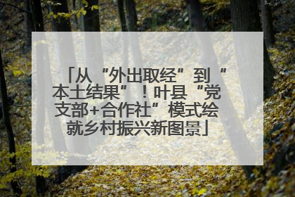 从“外出取经”到“本土结果”！叶县“党支部+合作社”模式绘就乡村振兴新图景