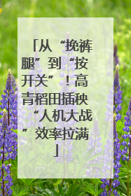 从“挽裤腿”到“按开关”！高青稻田插秧“人机大战”效率拉满