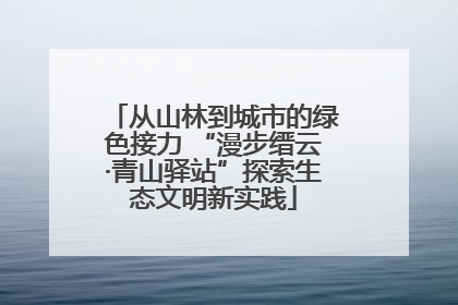 从山林到城市的绿色接力 “漫步缙云·青山驿站”探索生态文明新实践