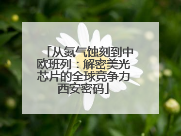 从氮气蚀刻到中欧班列：解密美光芯片的全球竞争力西安密码