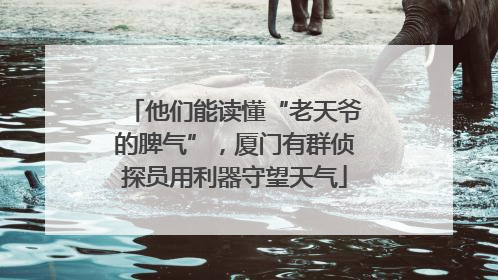 他们能读懂“老天爷的脾气”，厦门有群侦探员用利器守望天气