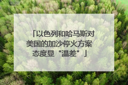 以色列和哈马斯对美国的加沙停火方案态度显“温差”