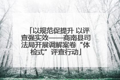 以规范促提升 以评查强实效——商南县司法局开展调解案卷“体检式”评查行动
