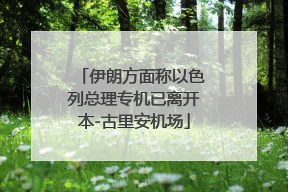 伊朗方面称以色列总理专机已离开本-古里安机场