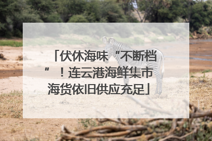 伏休海味“不断档”！连云港海鲜集市海货依旧供应充足
