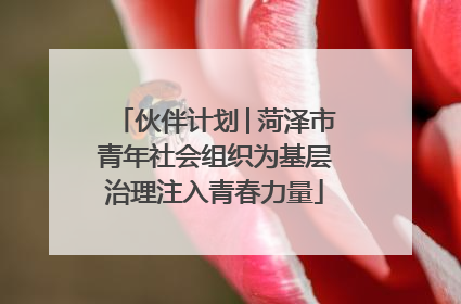 伙伴计划│菏泽市青年社会组织为基层治理注入青春力量