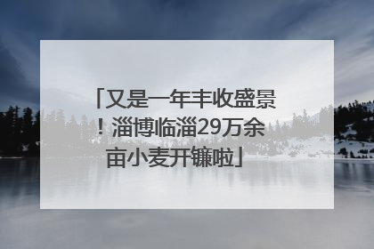 又是一年丰收盛景！淄博临淄29万余亩小麦开镰啦