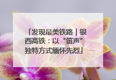 发现最美铁路｜银西高铁：以“笛声”独特方式缅怀先烈