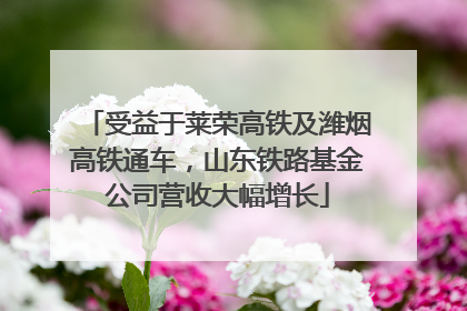 受益于莱荣高铁及潍烟高铁通车，山东铁路基金公司营收大幅增长