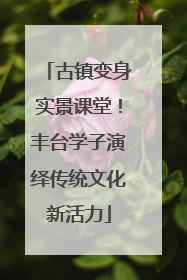古镇变身实景课堂！丰台学子演绎传统文化新活力