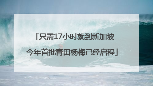 只需17小时就到新加坡 今年首批青田杨梅已经启程