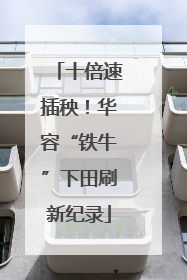 十倍速插秧！华容“铁牛”下田刷新纪录