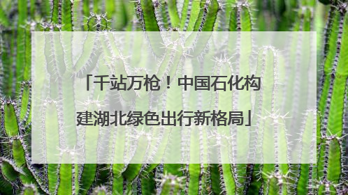 千站万枪！中国石化构建湖北绿色出行新格局