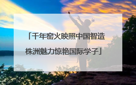 千年窑火映照中国智造 株洲魅力惊艳国际学子