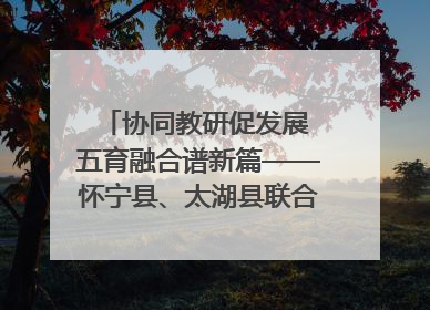 协同教研促发展 五育融合谱新篇——怀宁县、太湖县联合教研活动在月山镇中心学校成功举办