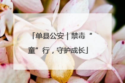 单县公安｜禁毒“童”行，守护成长