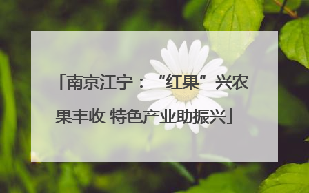 南京江宁：“红果”兴农果丰收 特色产业助振兴
