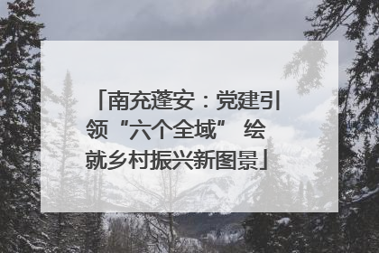 南充蓬安：党建引领“六个全域” 绘就乡村振兴新图景