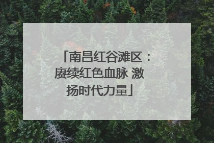 南昌红谷滩区：赓续红色血脉 激扬时代力量