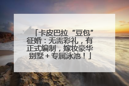 卡皮巴拉“豆包”征婚：无需彩礼，有正式编制，嫁妆豪华别墅＋专属泳池！