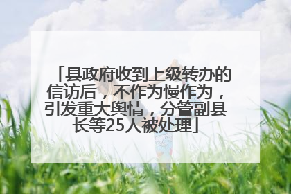 县政府收到上级转办的信访后，不作为慢作为，引发重大舆情，分管副县长等25人被处理
