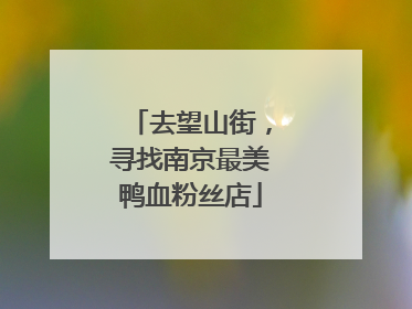 去望山街，寻找南京最美鸭血粉丝店
