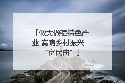 做大做强特色产业 奏响乡村振兴“富民曲”