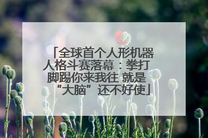 全球首个人形机器人格斗赛落幕：拳打脚踢你来我往 就是“大脑”还不好使