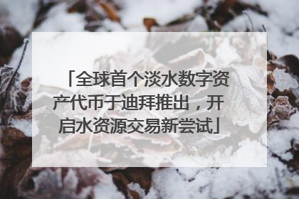 全球首个淡水数字资产代币于迪拜推出，开启水资源交易新尝试