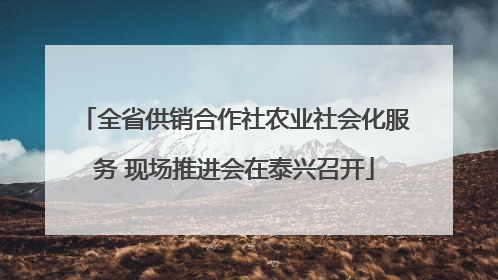 全省供销合作社农业社会化服务 现场推进会在泰兴召开