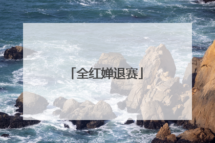 全红婵退赛