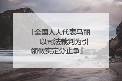 全国人大代表马丽——以司法裁判为引领做实定分止争