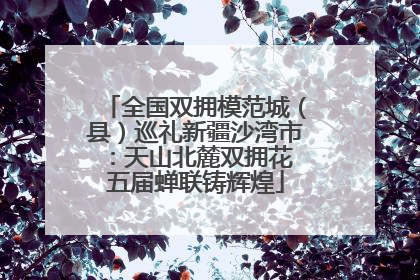 全国双拥模范城（县）巡礼新疆沙湾市：天山北麓双拥花 五届蝉联铸辉煌
