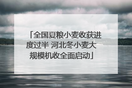 全国夏粮小麦收获进度过半 河北冬小麦大规模机收全面启动