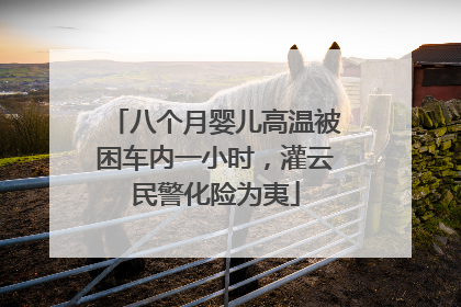 八个月婴儿高温被困车内一小时，灌云民警化险为夷