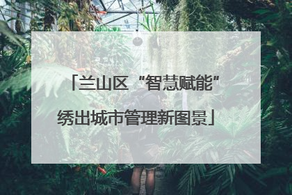 兰山区“智慧赋能”绣出城市管理新图景