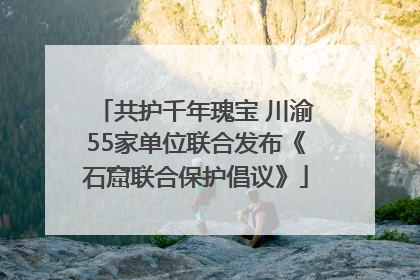 共护千年瑰宝 川渝55家单位联合发布《石窟联合保护倡议》