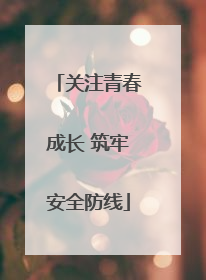 关注青春成长 筑牢安全防线