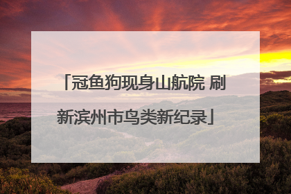 冠鱼狗现身山航院 刷新滨州市鸟类新纪录